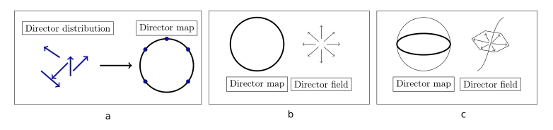 director_mapping