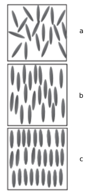 phases_image