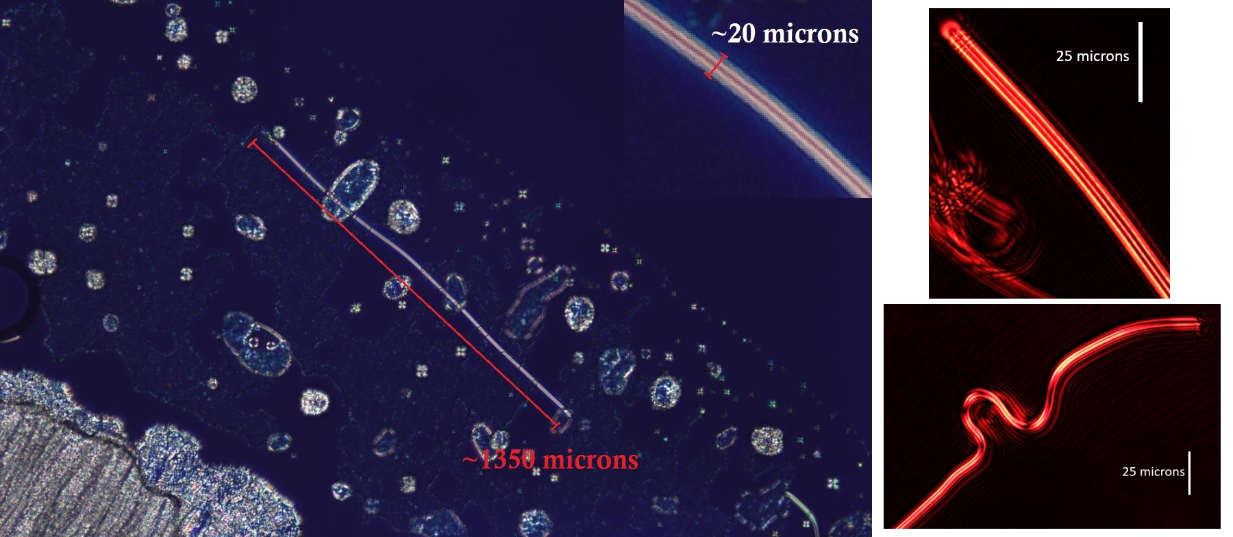 retractionFibre2